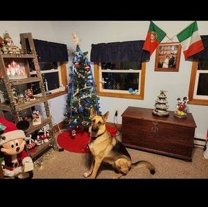 Meet your Posher, Maria